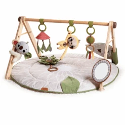 Tiny Love Boho Chic Luxe Developmental Gymini