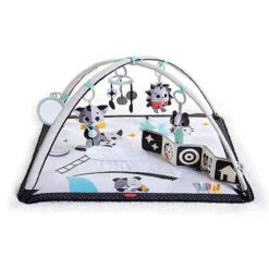 Tiny Love Gymini Deluxe Activity Play Mat