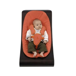 Bloom Coco Stylewood Frame - Cappuccino -Travel Tots Outlet Store Stylewood Lifeeee 02555.1530563592